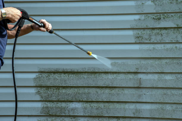 Best Roof Washing  in Wayne Heights, PA