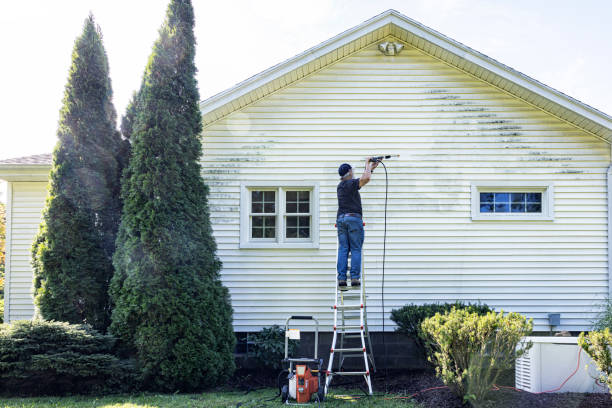 Best Driveway Pressure Washing  in Wayne Heights, PA